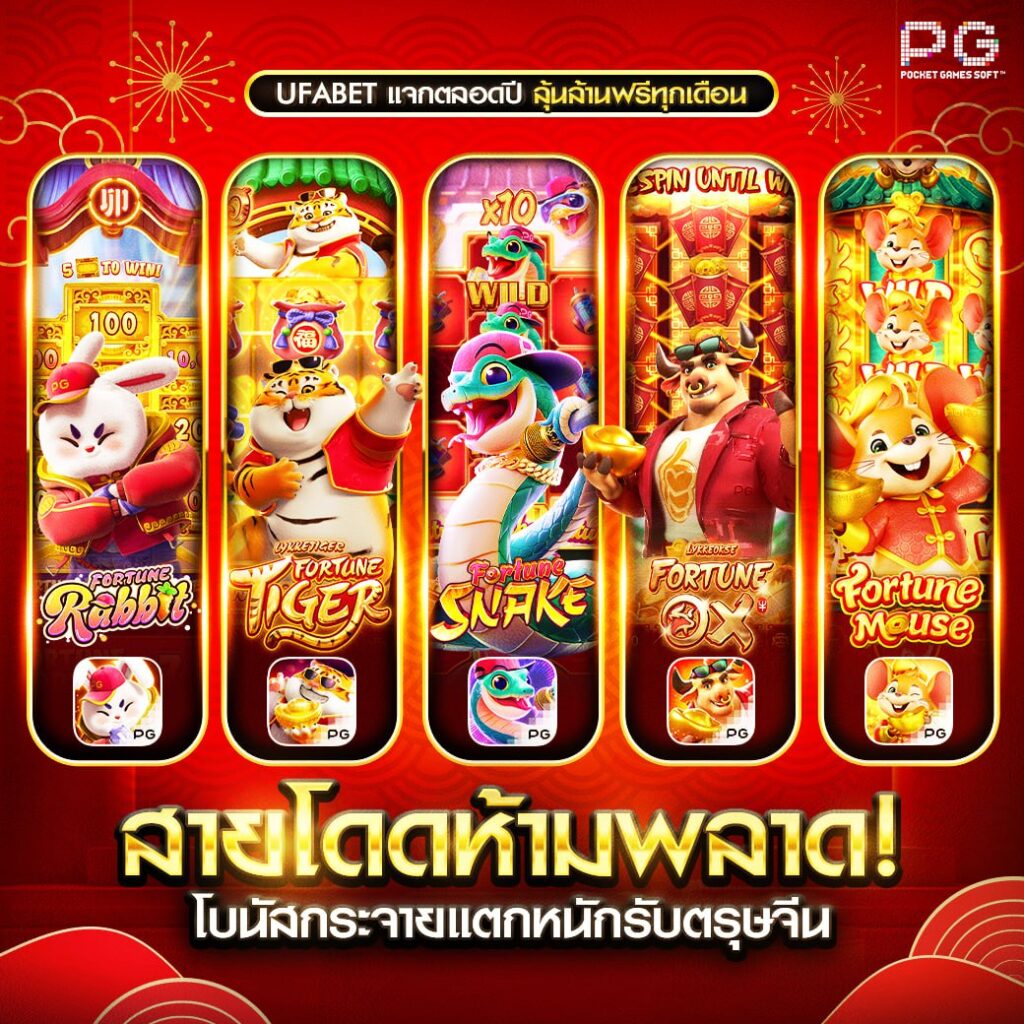 แนะนำ 5 เว็บไซต์ยอดนิยมสำหรับมือใหม่